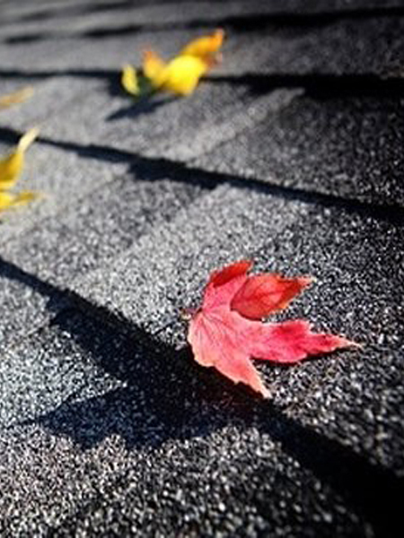 arlington ma roofing contractor